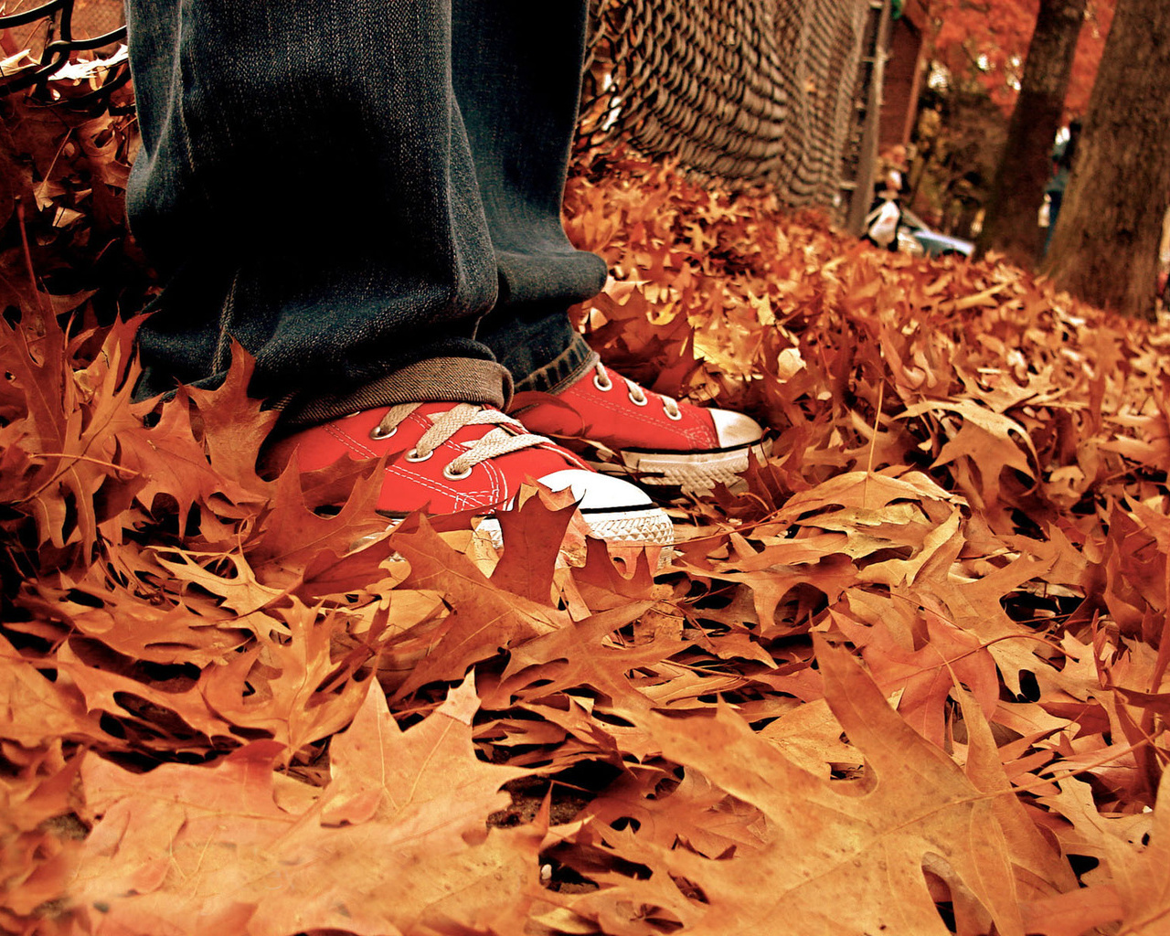 Download HQ Autumn Seasons wallpaper / 1280x1024