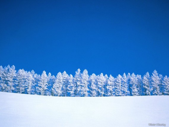 Free Send to Mobile Phone Snow Nature wallpaper num.23
