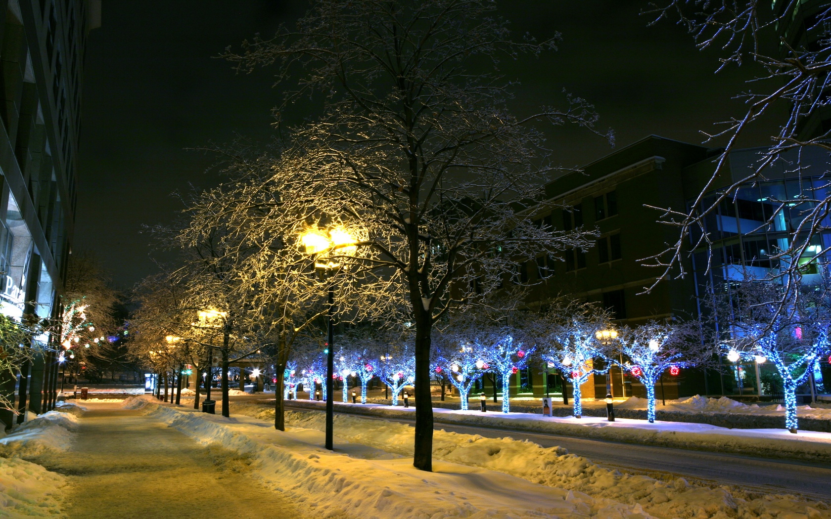 Download High quality Mcgill College Avenue, Montreal, Canada Snow wallpaper / 1680x1050