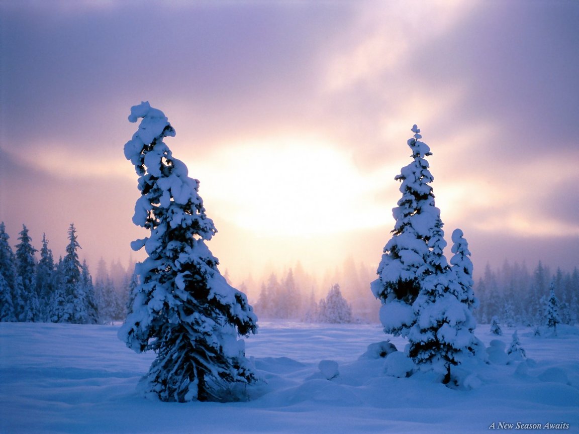 Download Snow / Nature wallpaper / 1152x864