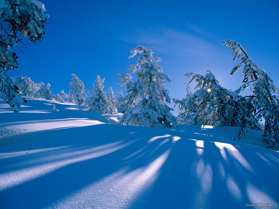 Full size Snow wallpaper / Nature / 1152x864
