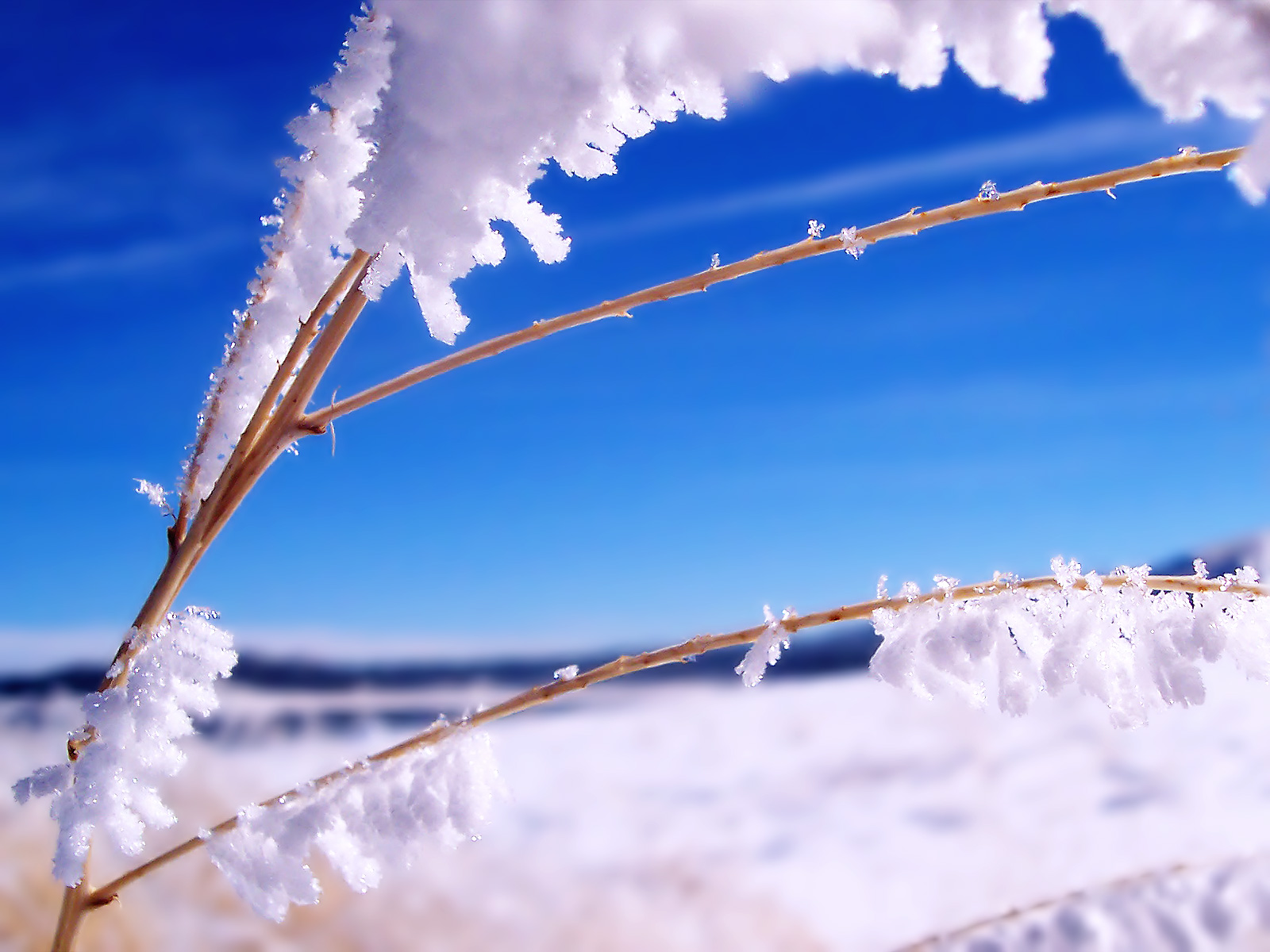 Download HQ Snow wallpaper / Nature / 1600x1200
