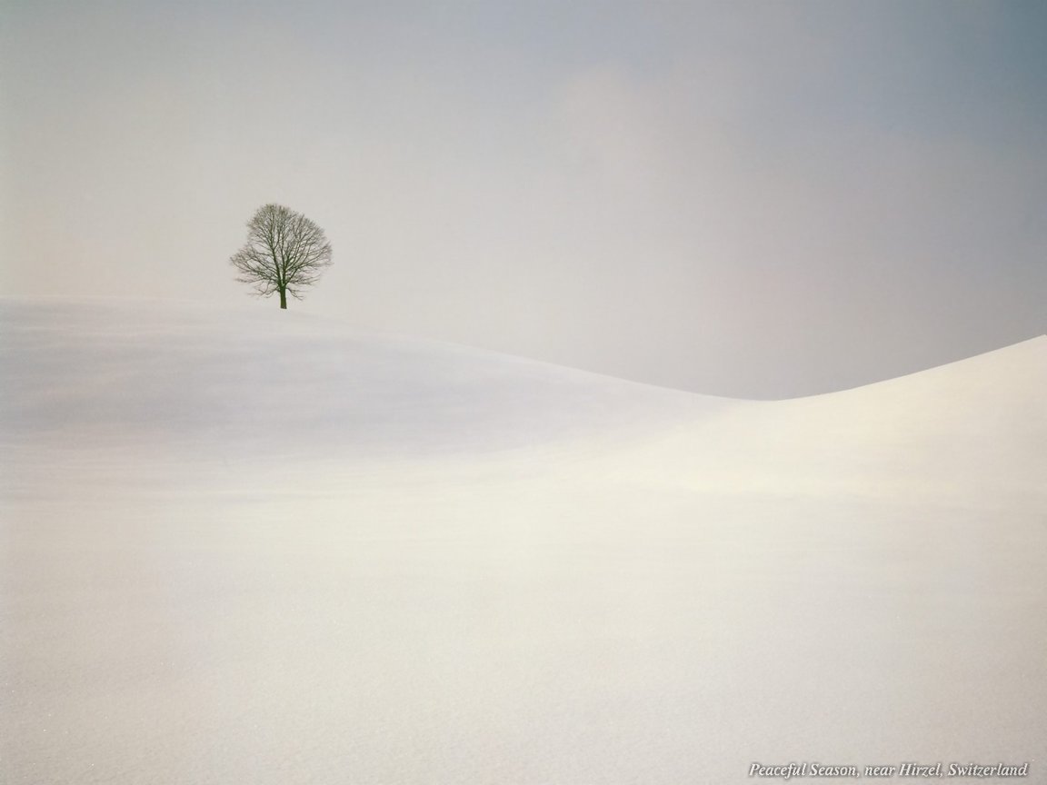 Full size Snow wallpaper / Nature / 1152x864