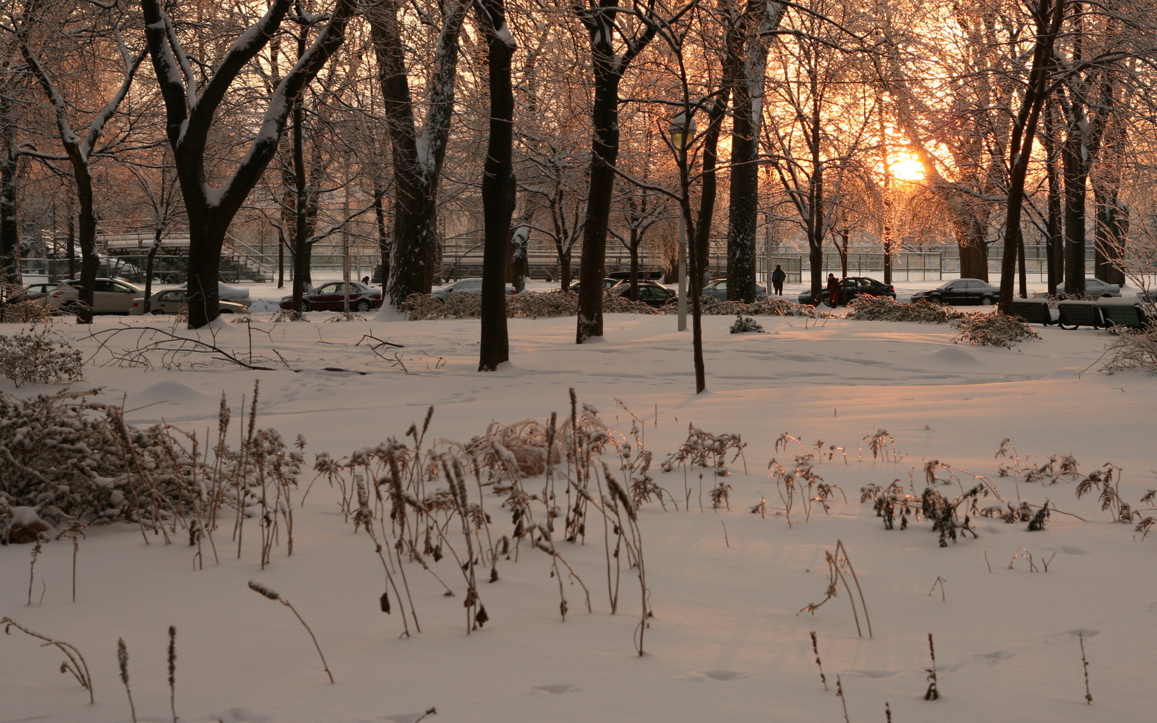 Download HQ Lafontaine Park, Montreal, Canada Snow wallpaper / 1680x1050