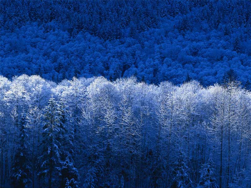 Download Snow / Nature wallpaper / 800x600