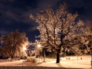 Download Verglas Sur Mont-Royal, Montréal, Canada / Snow