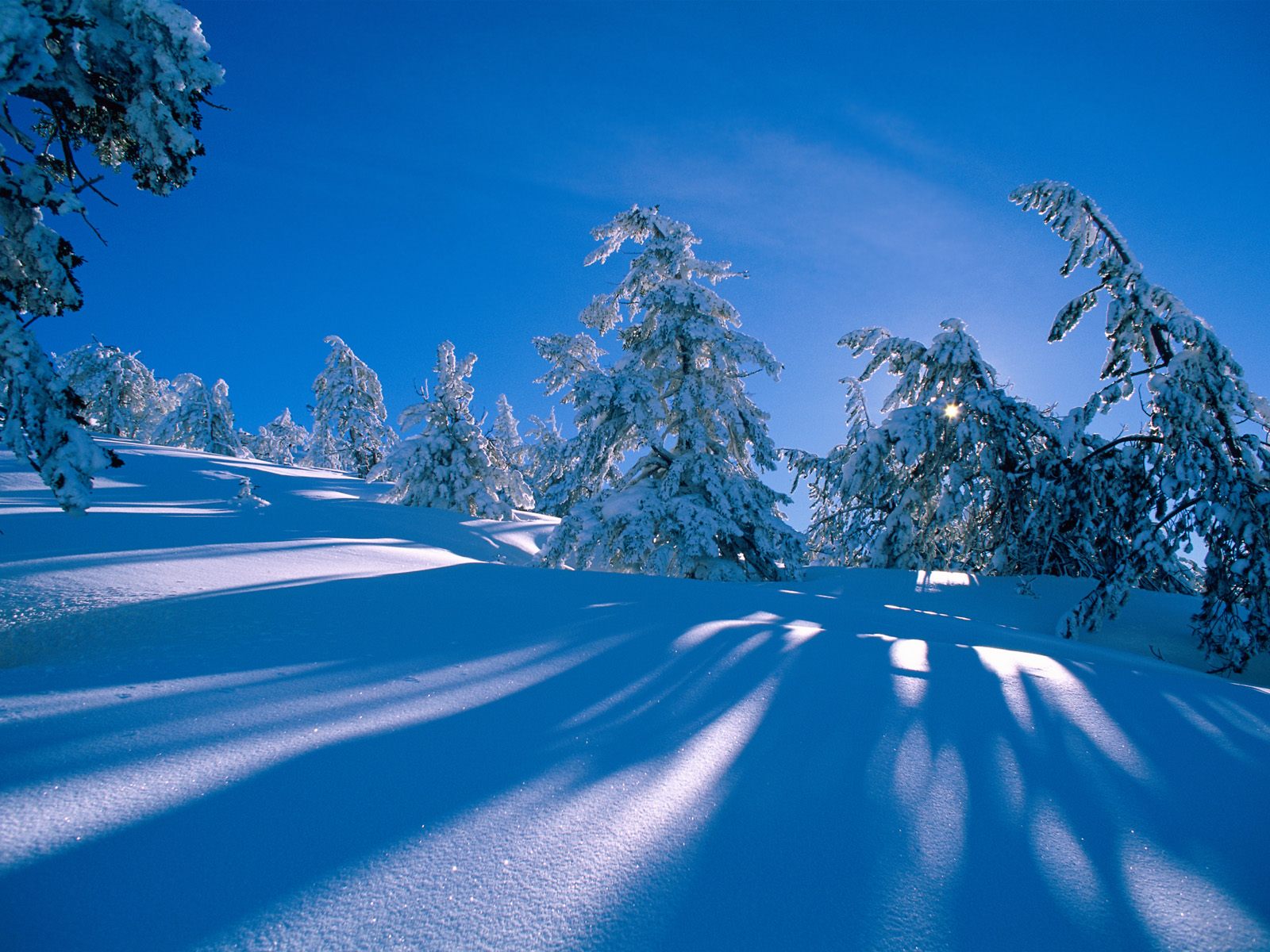 Download full size Snow wallpaper / Nature / 1600x1200