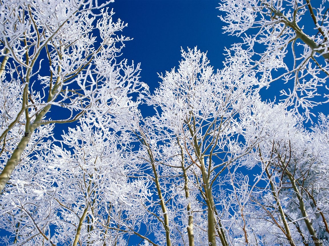 Download Snow / Nature wallpaper / 1152x864