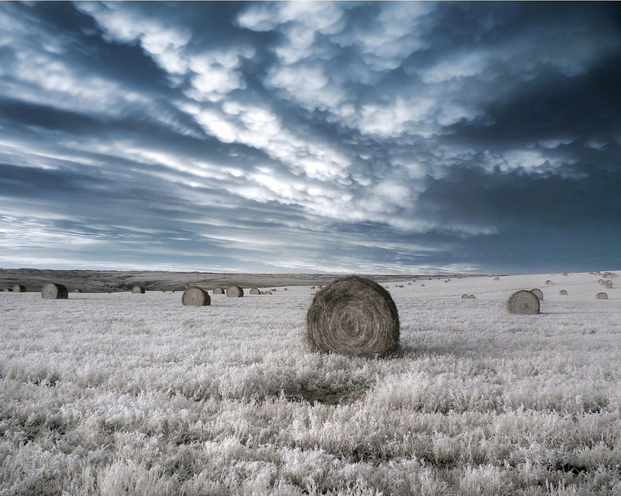Download full size Field before the storm Storms wallpaper / 1280x1024