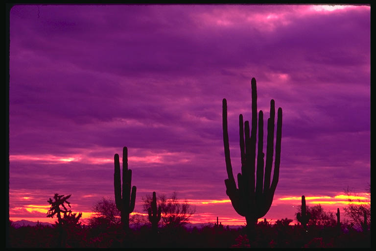 Download Sunset / Nature wallpaper / 768x512