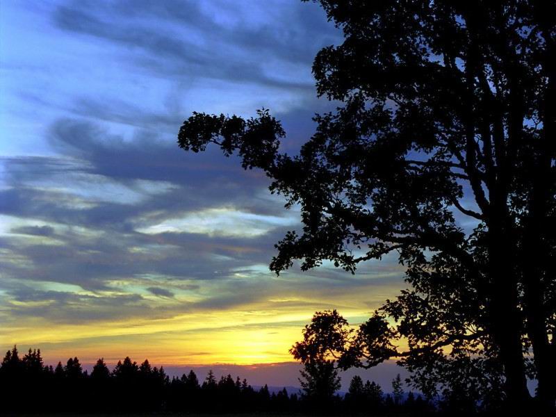 Download Sunset / Nature wallpaper / 800x600