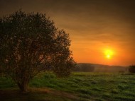 Download Autumn Sunset In Germany / Sunset