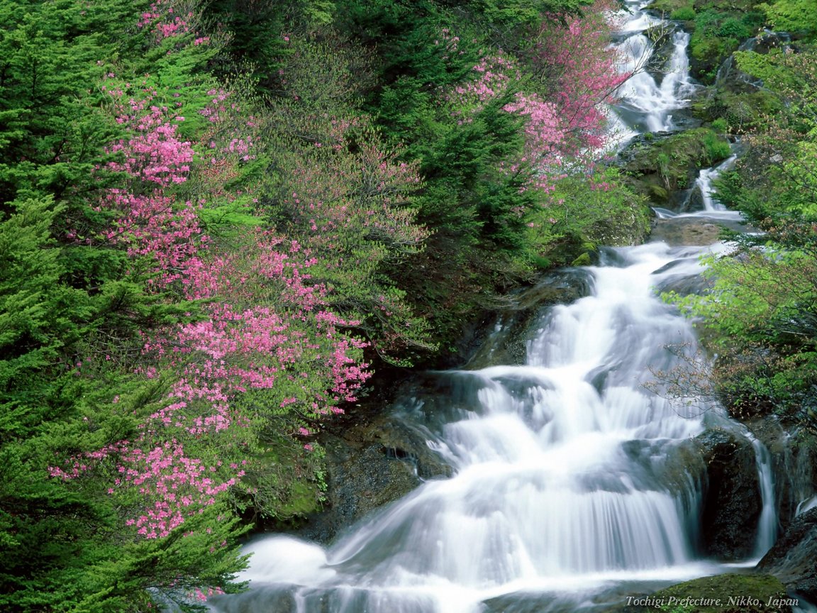 Full size Waterfalls wallpaper / Nature / 1152x864