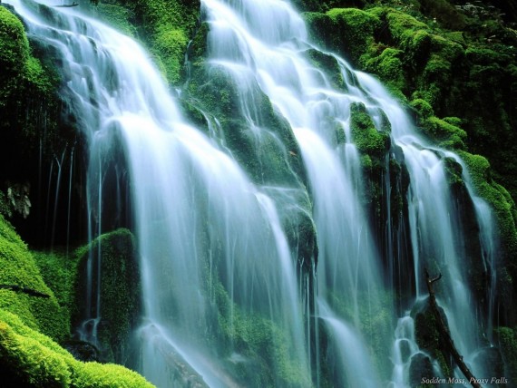 Free Send to Mobile Phone Waterfalls Nature wallpaper num.22
