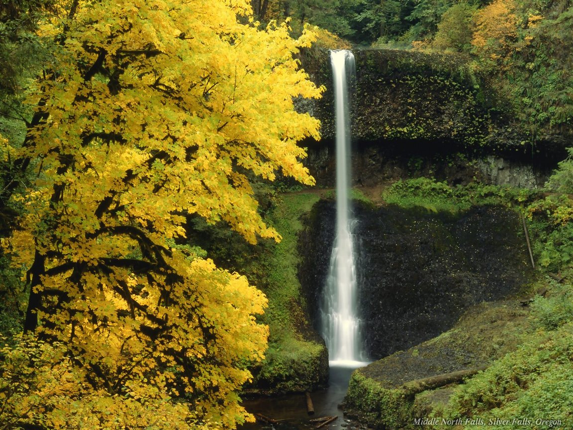 Full size Waterfalls wallpaper / Nature / 1152x864