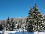 Download Winter / Nature