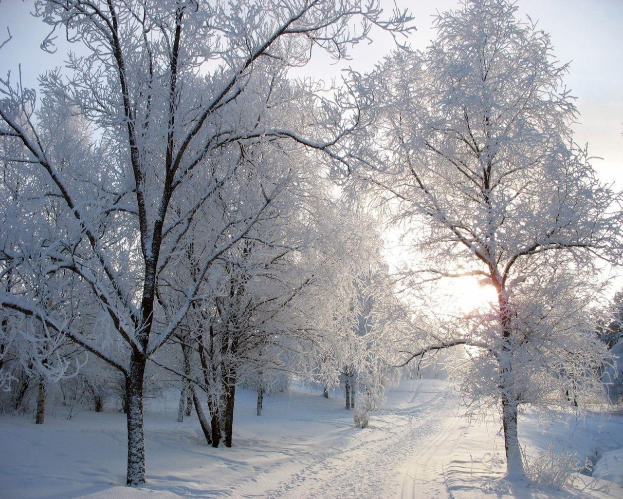 Download High quality Winter wallpaper / Nature / 1280x1024