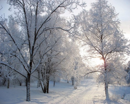Free Send to Mobile Phone Winter Nature wallpaper num.29