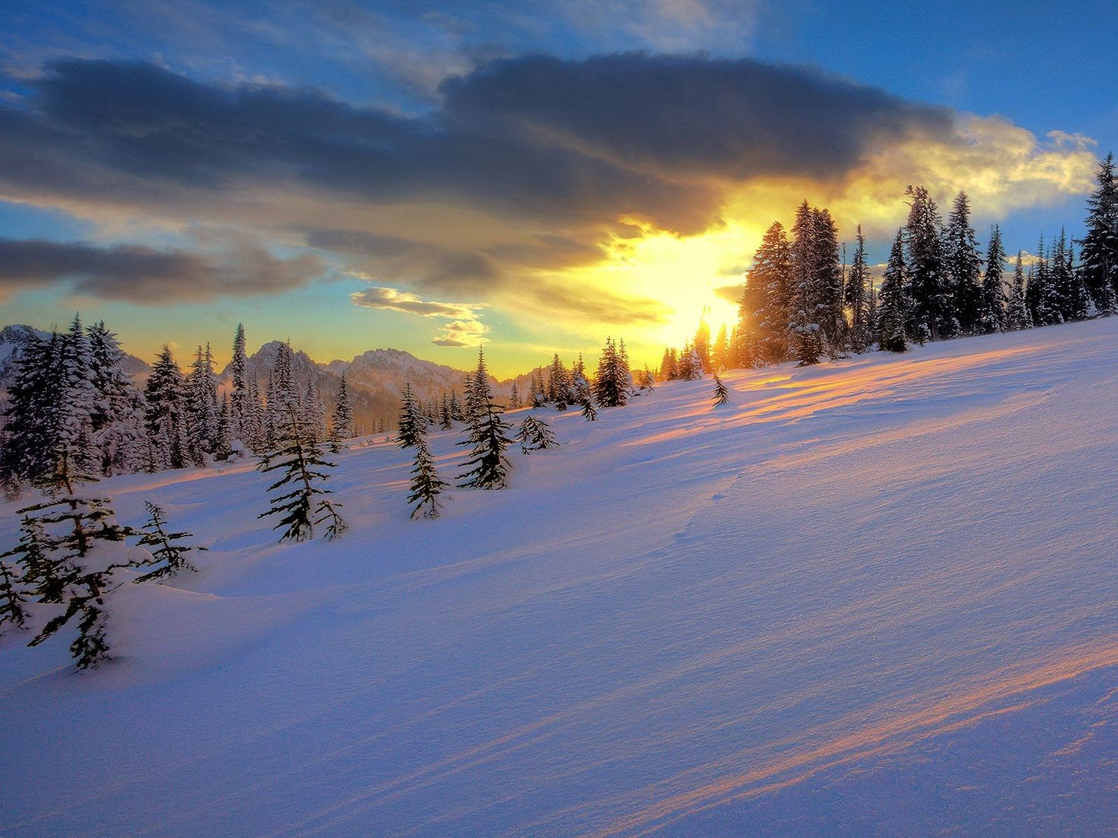 Download full size Winter wallpaper / Nature / 1600x1200