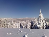 Winter / Nature