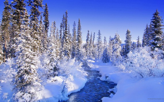 Free Send to Mobile Phone Winter Nature wallpaper num.21
