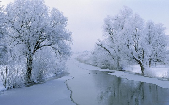 Free Send to Mobile Phone Winter Nature wallpaper num.3
