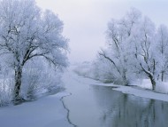 Download High quality Winter  / Nature