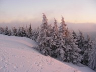 Download Winter / Nature