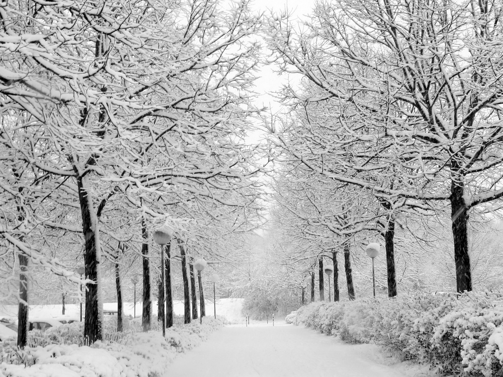 Download High quality Winter wallpaper / Nature / 2048x1536