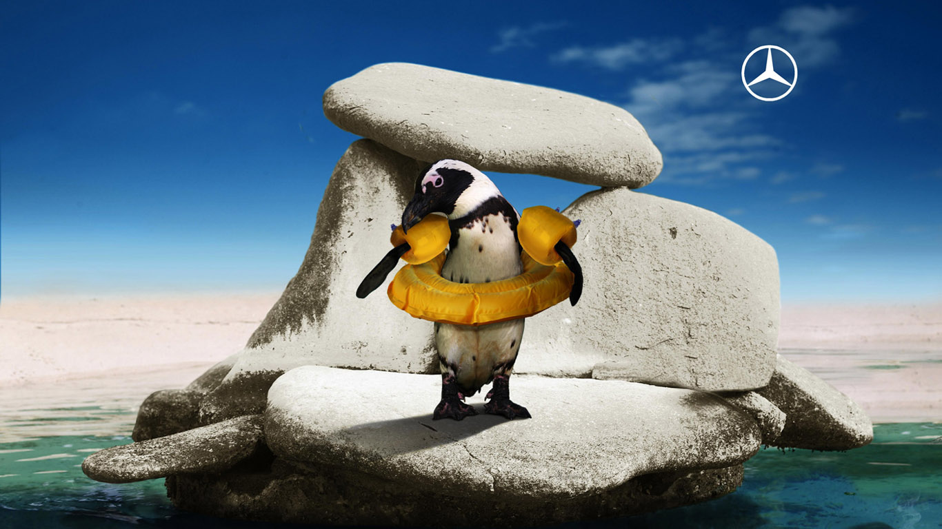 Download HQ penguin Creative Advertising wallpaper / 1366x768