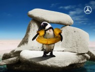 Download penguin / Creative Advertising