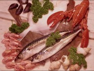 Sea food / Food and Dining