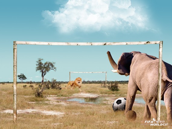 Free Send to Mobile Phone animals play football Funny wallpaper num.10