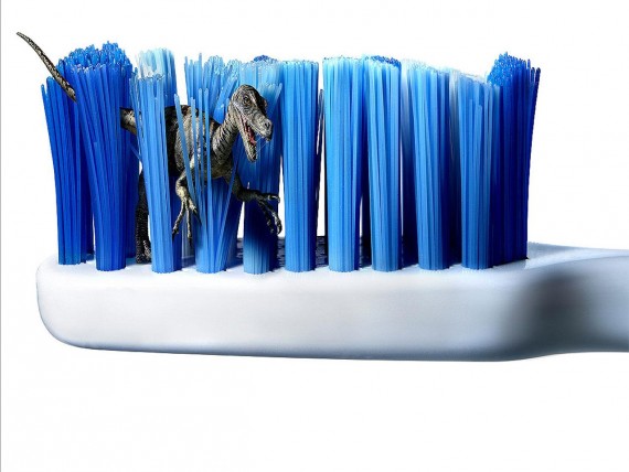 Free Send to Mobile Phone dinosaur a toothbrush Funny wallpaper num.16