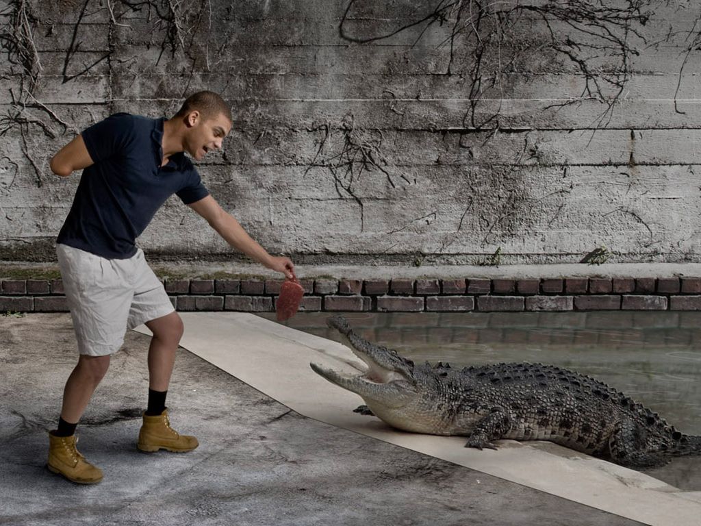 Full size feeding a crocodile Funny wallpaper / 1024x768