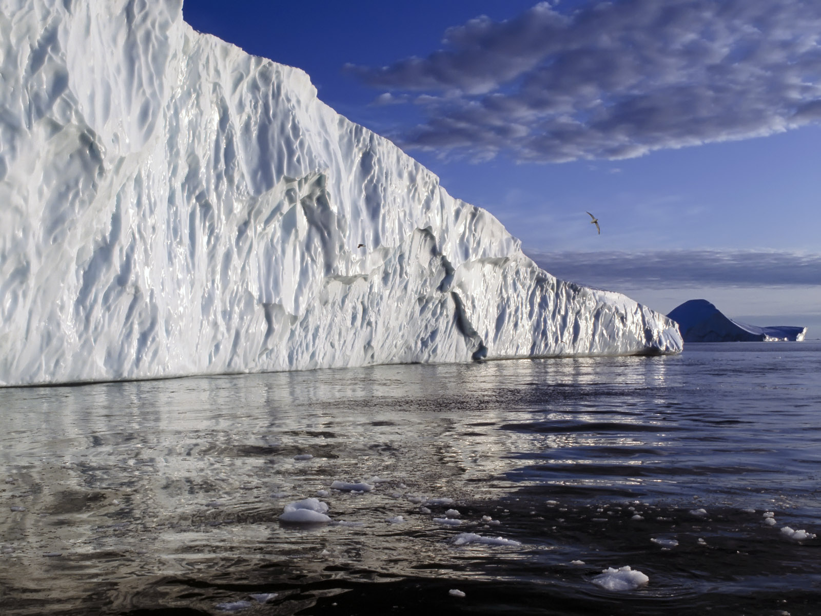 Download HQ Icebergs wallpaper / Nature / 1600x1200