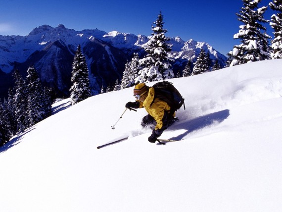 Free Send to Mobile Phone Extreme slalom Alpine skiing wallpaper num.1