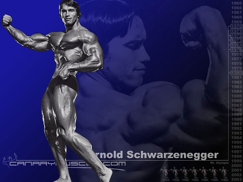 Full size Arnold Schwarzenegger Body Building wallpaper / 1024x768