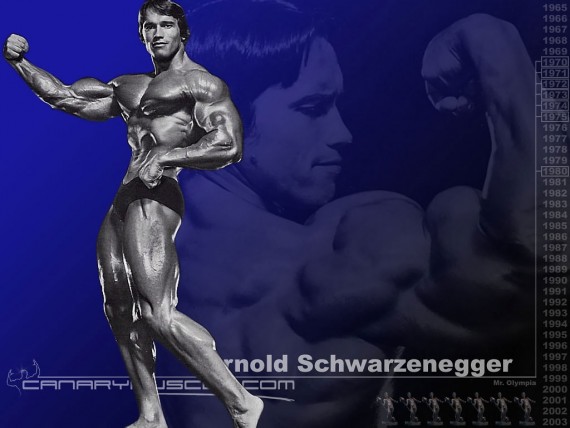Free Send to Mobile Phone Arnold Schwarzenegger Body Building wallpaper num.1