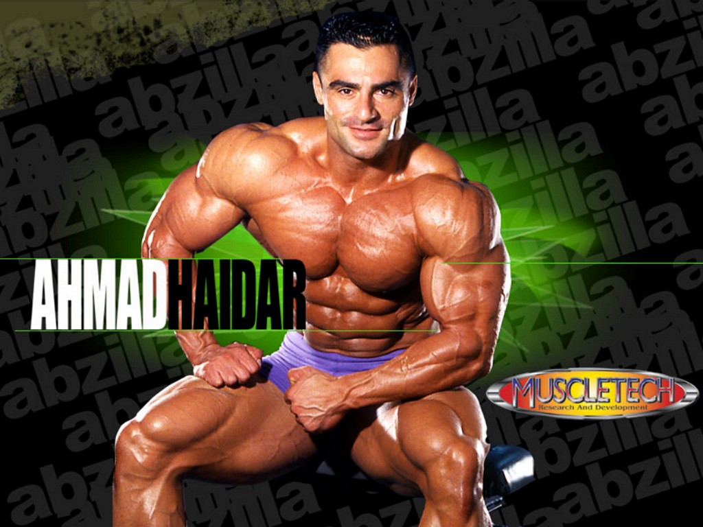 Full size Ahmad Haidar, IFBB Pro Body Building wallpaper / 1024x768