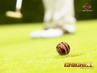 Cricket / Sports