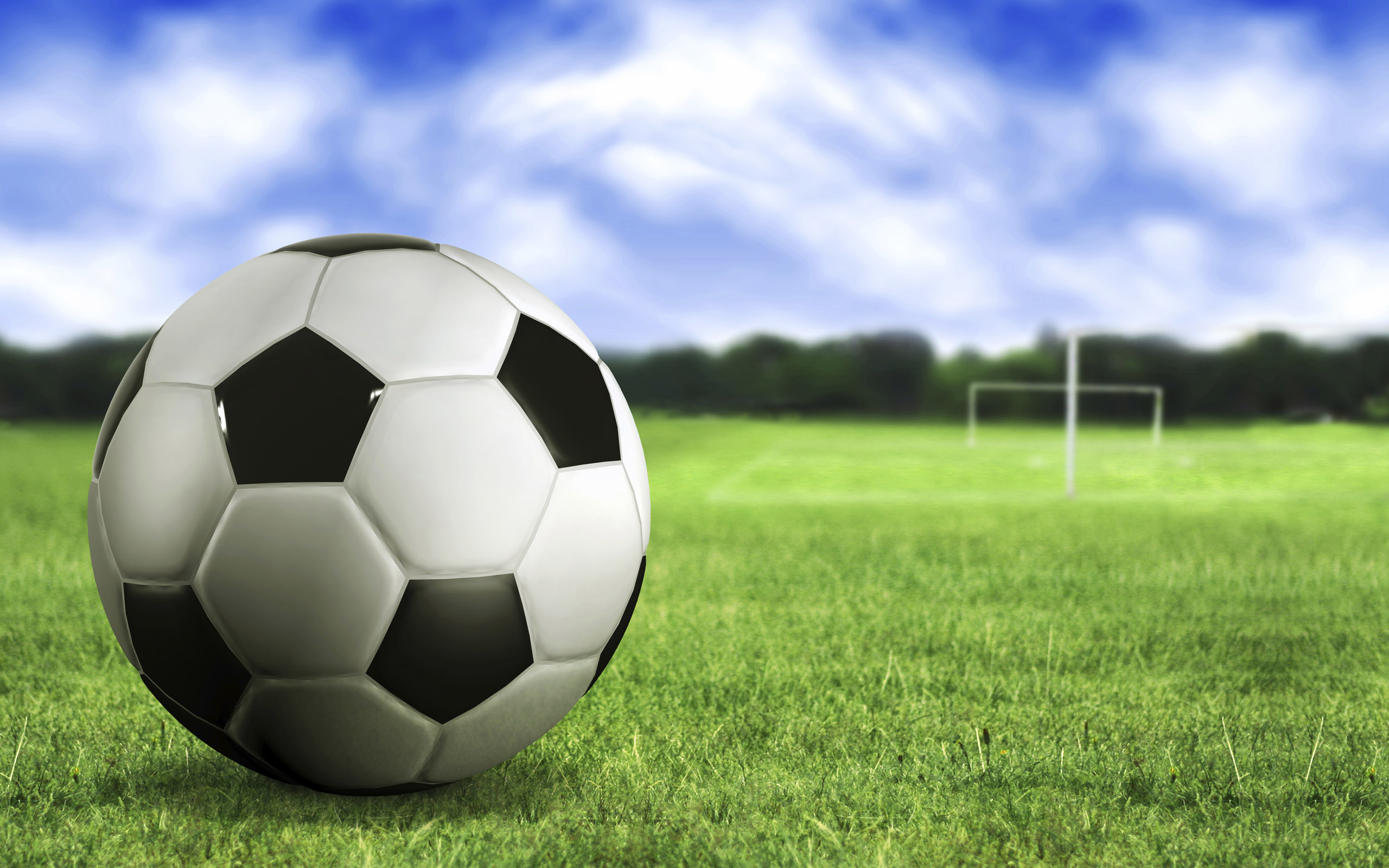 Download HQ Ball on green grass Football wallpaper / 2560x1600