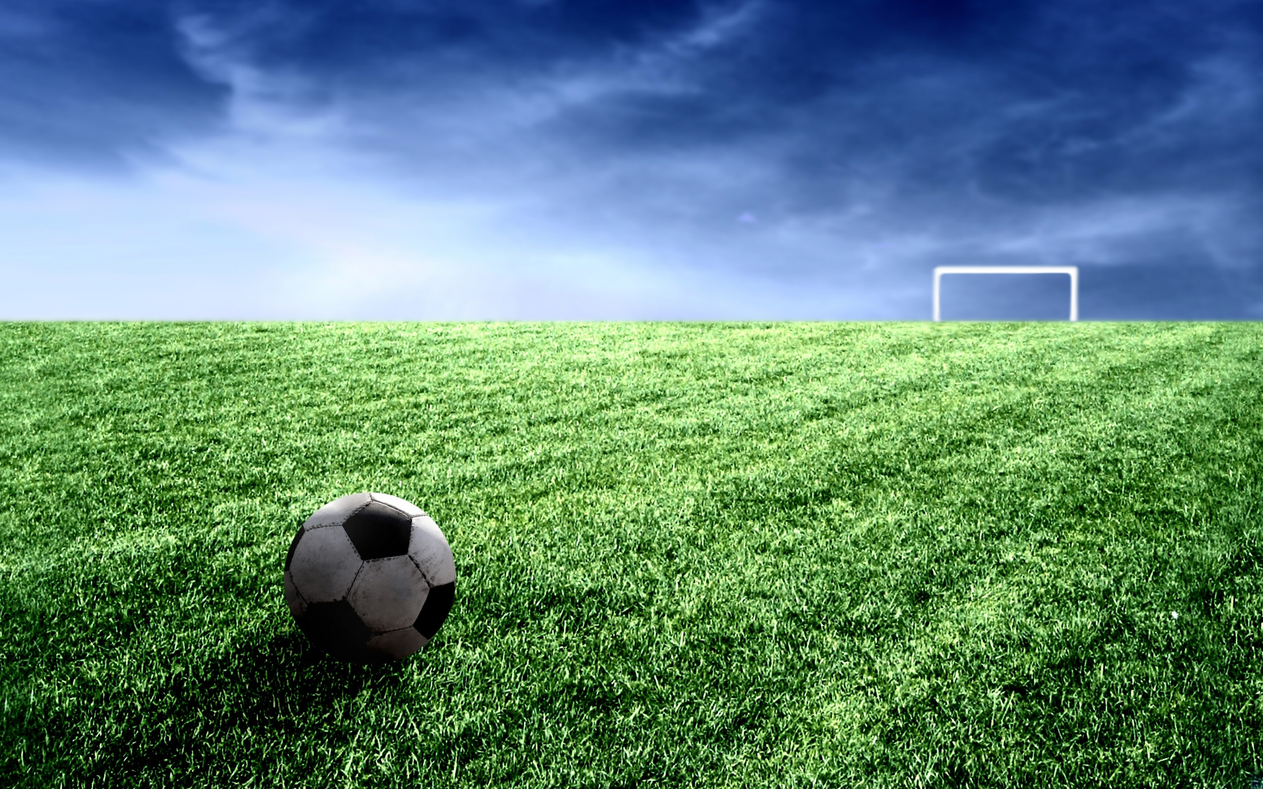 Download High quality Ball on grass Football wallpaper / 2560x1600