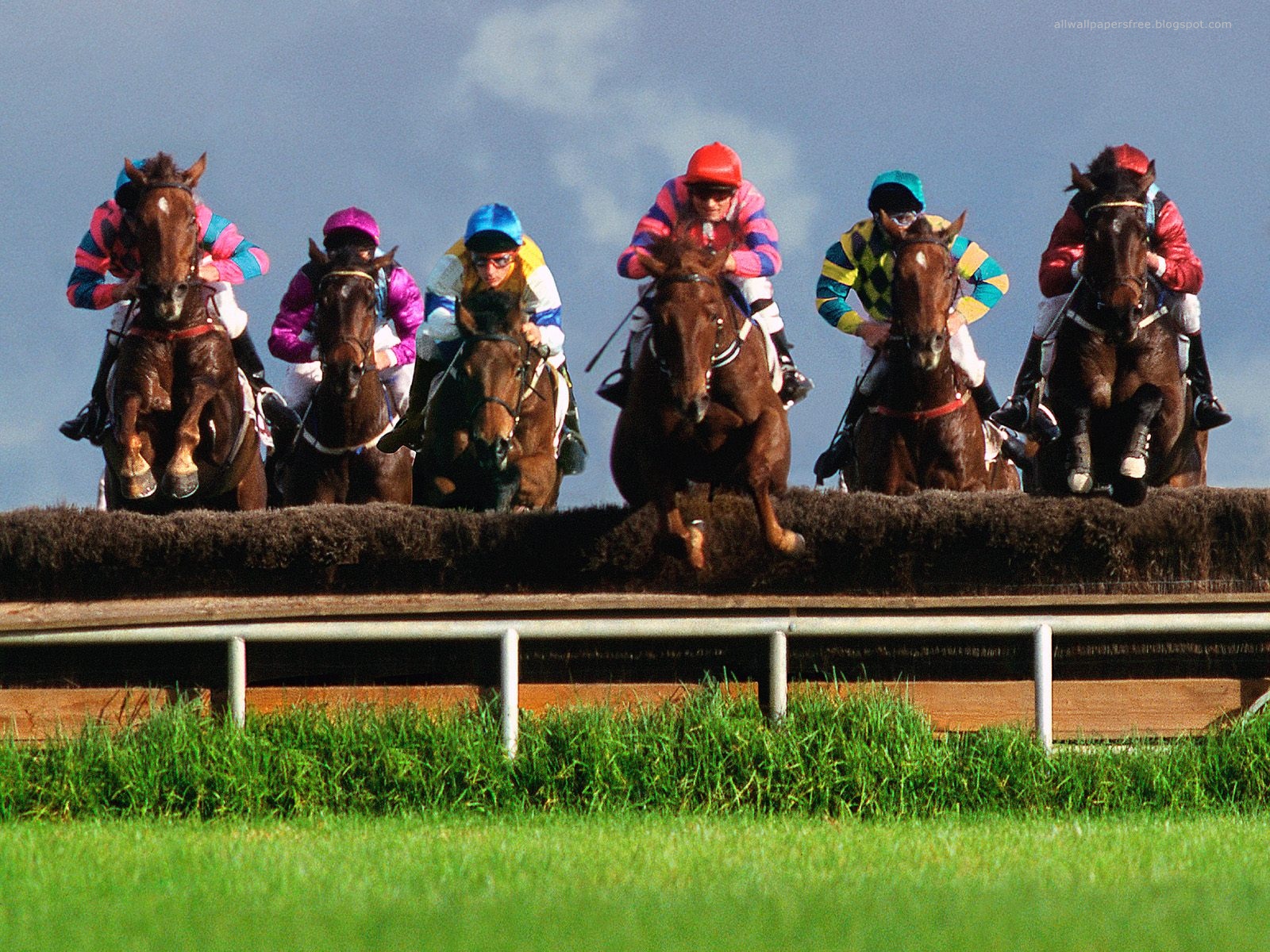 Download full size Horse Race wallpaper / Sports / 1600x1200