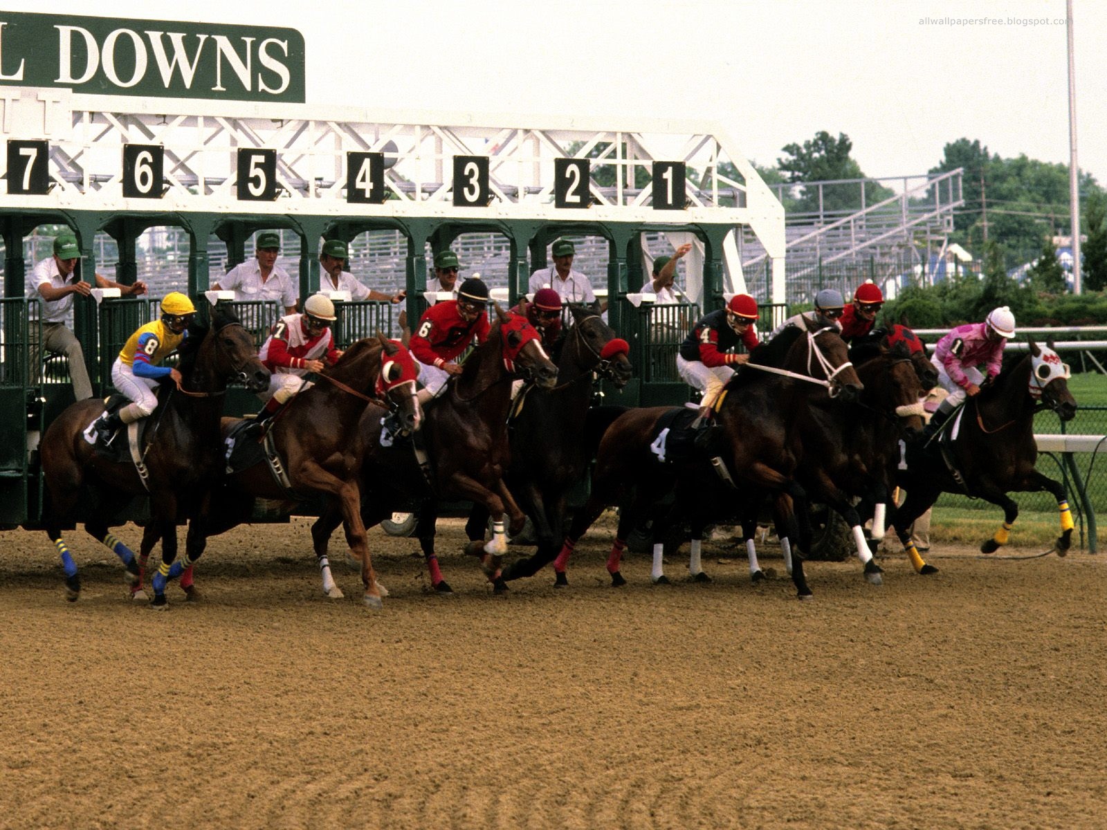 Download High quality Horse Race wallpaper / Sports / 1600x1200