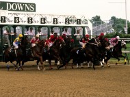 Horse Race / Sports