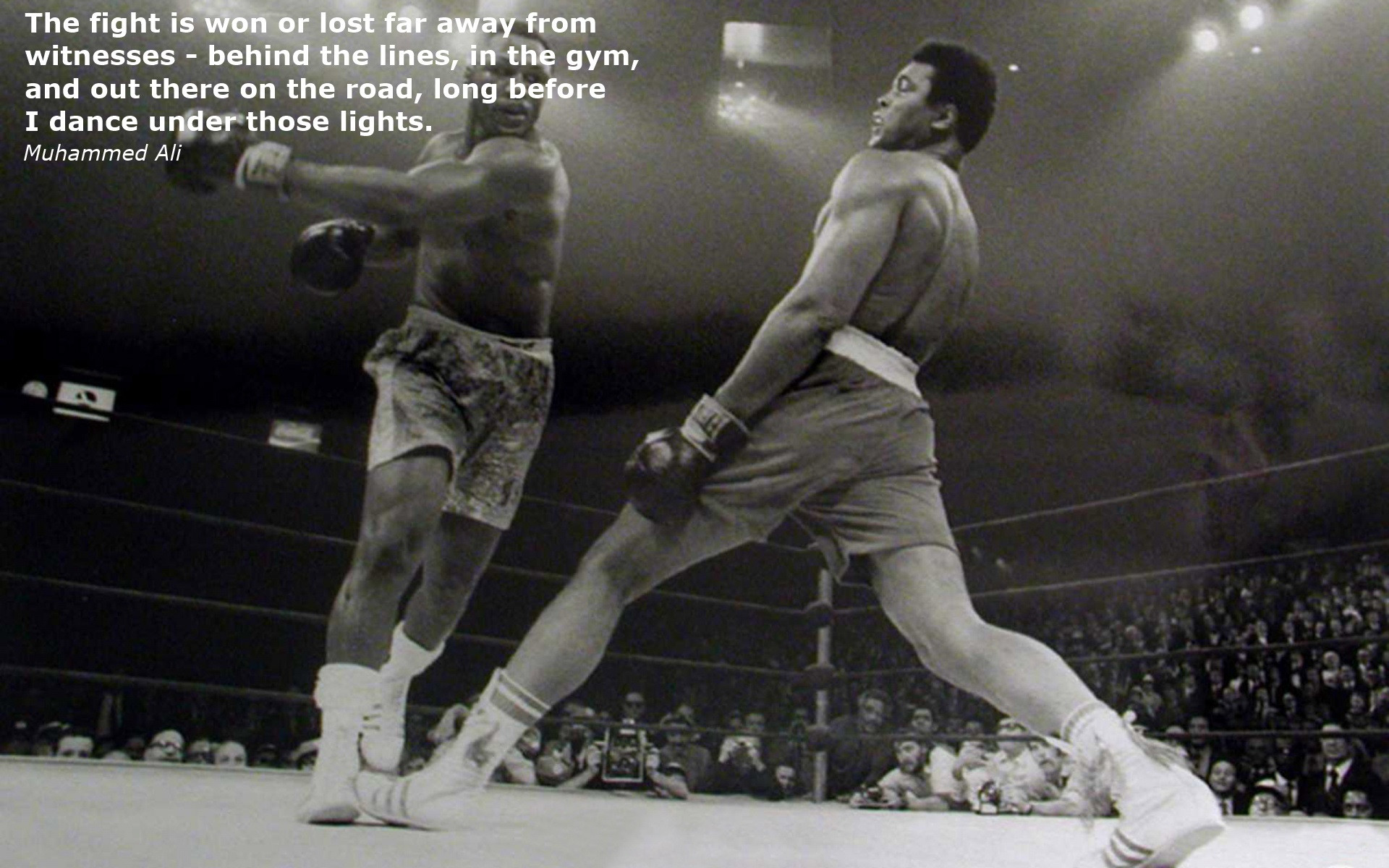 Download full size The fight is won or lost... Ali Muhammad Ali wallpaper / 1920x1200
