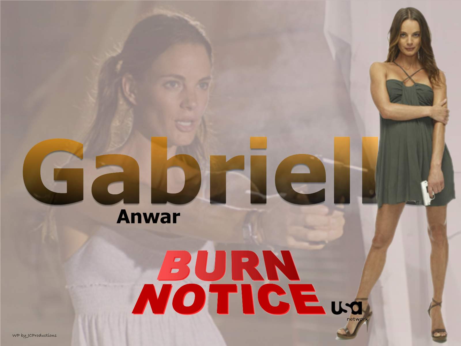 Download HQ Gabrielle Anwar Burn Notice wallpaper / 1600x1200