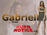 Gabrielle Anwar / Burn Notice