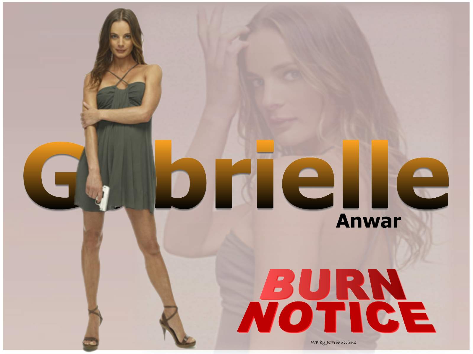 Download High quality Gabrielle Anwar Burn Notice wallpaper / 1600x1200